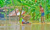 বাঙালিতে পানি বেড়ে সোনাতলায় ৭৩ গ্রাম নিমজ্জিত