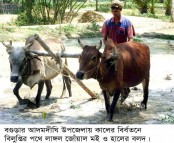 কালের বির্বতনে বিলুপ্তির পথে লাঙ্গল জোঁয়াল মই