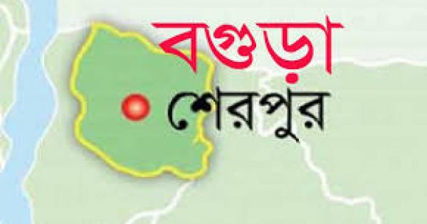 শেরপুরে জমিতে বিষ স্প্রে করতে গিয়ে বিষক্রিয়ায় কৃষকের মৃত্যু