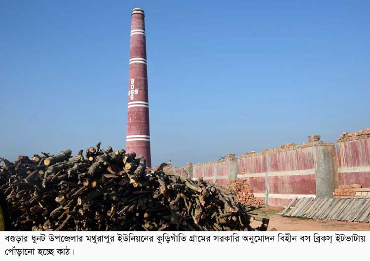 ধুনটে সরকারি অনুমোদন ছাড়াই গড়ে উঠেছে ইটভাটা: বিপর্যয়ের শঙ্কায় কৃষি জমি