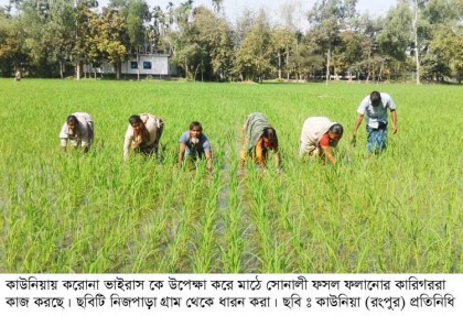 করোনা ভাইরাসে ভয় নেই ওদের