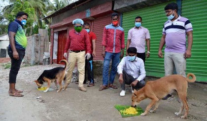 করোনা দুর্যোগে বগুড়ায় প্রতিদিন কুকুরকে 
খাওয়াচ্ছে ৩ তরুণ সেচ্ছাসেবী