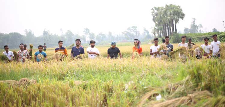 বগুড়ায় শ্রমিক সংকটে থাকা অসহায় কৃষকের 
ধান কেটে ঘরে তুলে দিলো জেলা ছাত্রলীগ