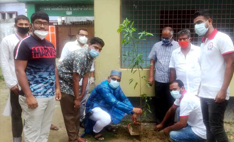 বগুড়ায় পরিবেশের ভারসাম্য রক্ষায়
বৃক্ষরোপন করলেন তরুণ সেচ্ছাসেবীরা