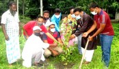 দুপচাঁচিয়া উপজেলা স্বেচ্ছাসেবকলীগের উদ্যোগে বৃক্ষরোপন কর্মসূচীর উদ্ধোধন