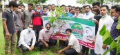 ডোমারে মুজিববর্ষের আহ্ববানে ছাত্রলীগের বৃক্ষ রোপণ কর্মসূচী পালিত