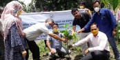 নাগেশ্বরীতে বঙ্গবন্ধুর জন্মশতবার্ষিকী উপলক্ষে বৃক্ষরোপন কর্মসূচি