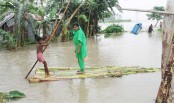 ১০ হাজার মানুষ পানি বন্দি
কাউনিয়ায় তিস্তার পানি বৃদ্ধি, নিন্মাঞ্চল প্লাবিত