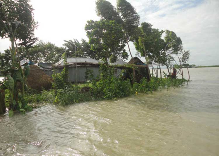 বন্যার্তদের মাঝে ত্রান পৌছেনি
কাউনিয়ায় ১৪ গ্রাম বন্যা কবলিত হয়ে পড়েছে