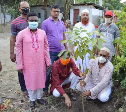 বগুড়া পৌর আওয়ামী লীগ নেতা এ্যাডোনিস বাবু’র বৃক্ষরোপণ-