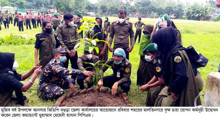 বগুড়ায় মুজিববর্ষে আনসার ভিডিপি 
কার্যালয়ে বৃক্ষ রোপন ও চারা বিতরণ