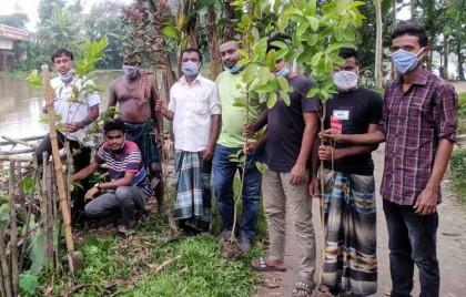 শিক্ষকদের উৎসর্গ করে এইচবিএফের বৃক্ষরোপণ