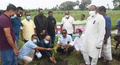 জয়পুরহাটে মুজিববর্ষ উপলক্ষে বৃক্ষ রোপণ