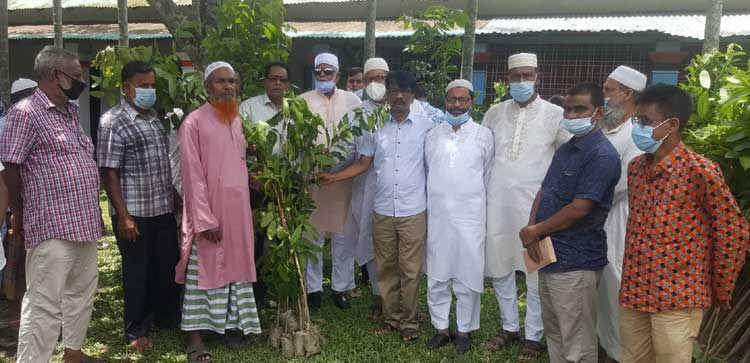 শেরপুরে কৃষক লীগের উদ্যোগে চারা গাছ বিতরণ