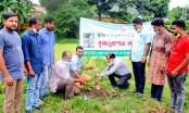 বগুড়ায় মুজিববর্ষে ফলজ 
ও বনজ বৃক্ষ রোপণ অভিযান 