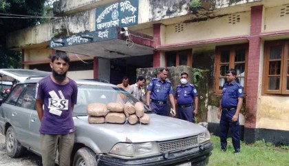 জলঢাকায় ১০কেজি গাঁজাসহ প্রাইভেট কারের চালক আটক