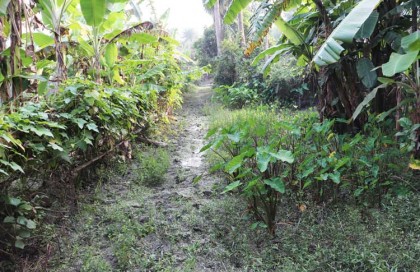 প্রতিমন্ত্রী পলকের কাছে রাস্তা র্নিমাণের দাবি করলেন সিংড়ার সুর্য্যপুর গ্রামবাসী