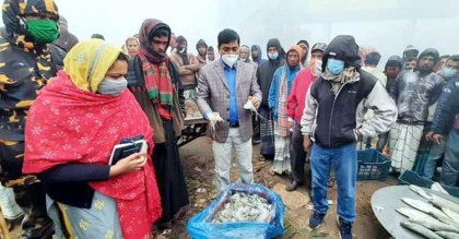 দৌলতদিয়া ঘাটে জেলিমিশ্রিত চিংড়ি ও জাটকা জব্দ
