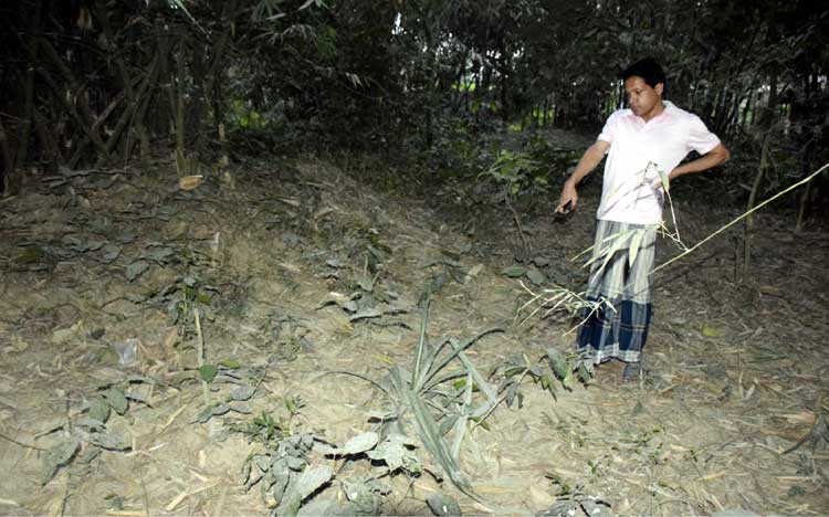 ধুনটে স্বাধীনতার ৫০ বছরেও নির্মিত হয়নি শহীদদের
স্মৃতি স্তম্ভ : অযত্নে-অবহেলায় পড়ে রয়েছে গণকবর