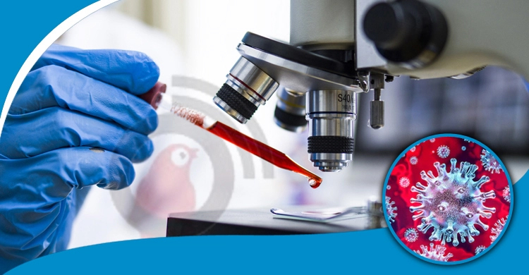 ২৪ ঘণ্টায় ফের শনাক্ত সাড়ে ৩ হাজারের ওপরে, মৃত্যু ২৫
