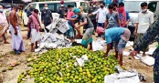 রাজধানীতে কেমিক্যালে পাকানো আম জব্দ
