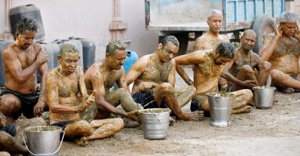 গোবর-গোমূত্র করোনার বিরুদ্ধে অকার্যকর, ভারতীয় চিকিৎসকদের সতর্কতা
