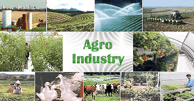 কৃষি প্রক্রিয়াকরণ শিল্পে ১০ বছরের কর অবকাশ আসছে বাজেটে
