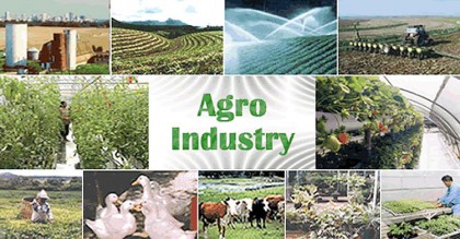 কৃষি প্রক্রিয়াকরণ শিল্পে ১০ বছরের কর অবকাশ আসছে বাজেটে
