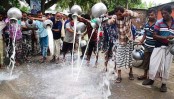 দুধের ন্যায্য দাম না পাওয়ায় 
সিংড়ায় খামারীদের অভিনব প্রতিবাদ 
