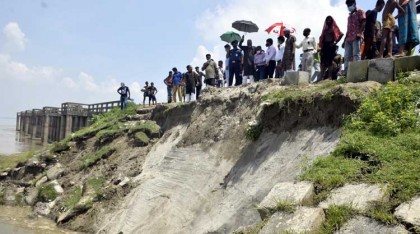 ধুনটে বন্যা নিয়ন্ত্রণ বাঁধের ২০ মিটার স্পার যমুনায় বিলীন 