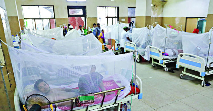 আগস্টের ১১ দিনে হাসপাতালে ২৫৩৪ ডেঙ্গু রোগী
