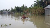 সিরাজগঞ্জে ২৮ ইউপির নিম্নাঞ্চল প্লাবিত
