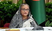 আইসিটি, নবায়নযোগ্য জ্বালানি ও নীল অর্থনীতিতে মার্কিন বিনিয়োগ আহ্বান প্রধানমন্ত্রীর

