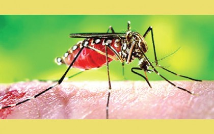 একদিনে ২২১ রোগী হাসপাতালে