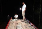 ধুনটে সরকারি চাল কালোবাজারে বিক্রিকালে আটক ২ : ইউপি সদস্য সহ ১০ জনের বিরুদ্ধে মামলা