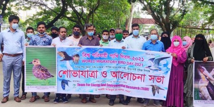 বগুড়ায় বিশ্ব পরিযায়ী 
পাখি দিবস পালন 