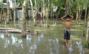বিপৎসীমার ৬০ সেমি ওপরে তিস্তার পানি, নিম্নাঞ্চল প্লাবিত

