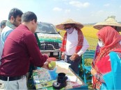 নন্দীগ্রামে কৃষি অফিসারের উদ্যোগে কৃষি বিভাগে যুক্ত হলো ‘প্লান্ট ডক্টর মোবাইল টিম’