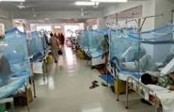 
২৪ ঘণ্টায় আরও ১৪০ ডেঙ্গু রোগী হাসপাতালে ভর্তি