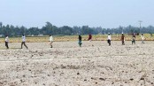 শেরপুরে কৃষি প্রেক্ষাপট প্রশ্নবিদ্ধ
