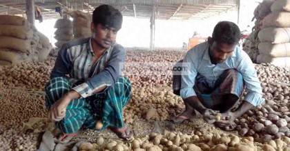 জাওয়াদে ক্ষতিগ্রস্ত আলুচাষিরা, সহায়তা প্রয়োজন
