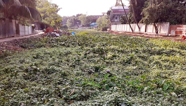 কবিগুরুর ছোটনদীতে ভাসবে কী আর ‘সোনার তরী’!