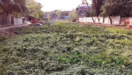 কবিগুরুর ছোটনদীতে ভাসবে কী আর ‘সোনার তরী’!