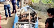 রংপুরে প্রতীকী নৌকায় আগুন
