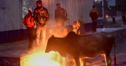 শীতে কাবু দিল্লি, বছরের সর্বনিম্ন তাপমাত্রা রেকর্ড
