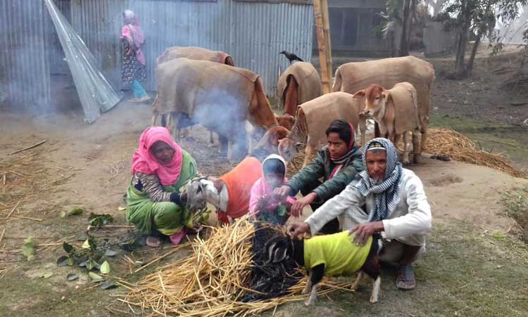 বাড়ছে ঠান্ডা জনিত রোগ
কাউনিয়ায় কনকনে ঠান্ডায় কাহিল দরিদ্র মানুষ 