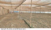 বৃহস্পতিবার থেকে তিনদিন ব্যাপি
ধুনটের দ্বিতীয় ইজতেমা শুরু