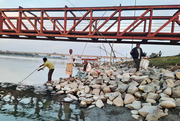 কাউনিয়ায় তিস্তা নদীতে শুরু হয়েছে 
সৌখিন মৎস্য শিকারীদের বড়শি দিয়ে মাছ ধরা উৎসব