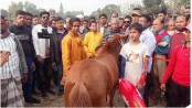 মান্দায় ঘোড়দৌড় প্রতিযোগিতায় 
তাসমিনার গলায় জয়ের মালা