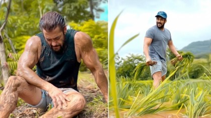 সাপ ধরতে গিয়ে তিনবার কামড় খেলাম: সালমান
